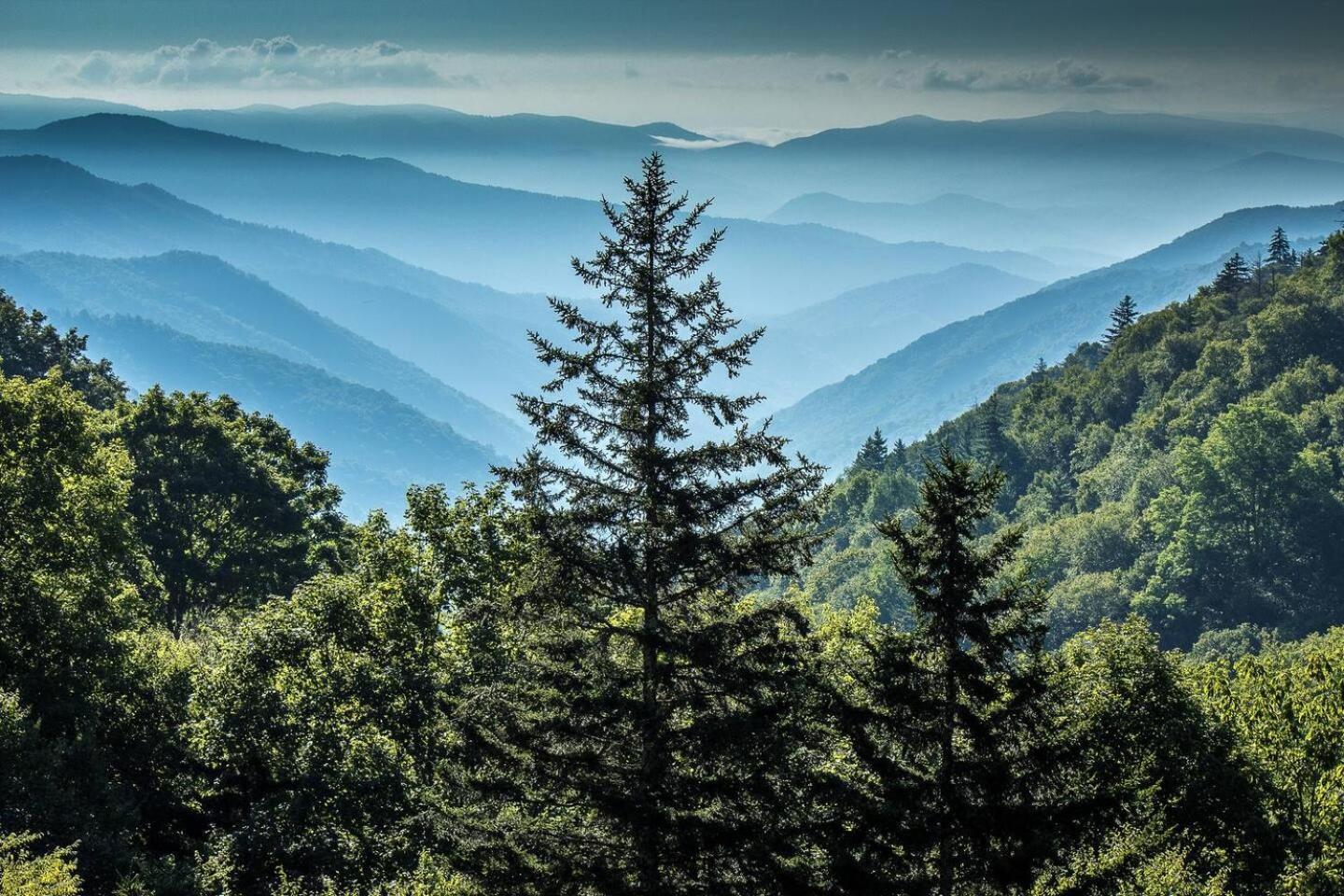Romantic Mtn Cabin Hot Tub & Jacuzzi Views Sevierville Exterior foto